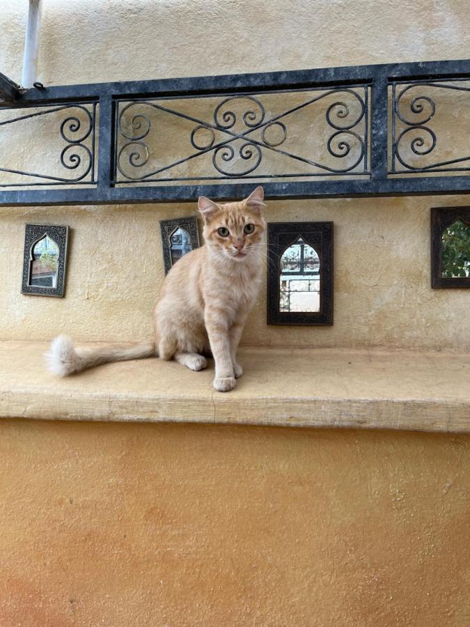 Riad Al Ibtikar Marrakesh Eksteriør billede