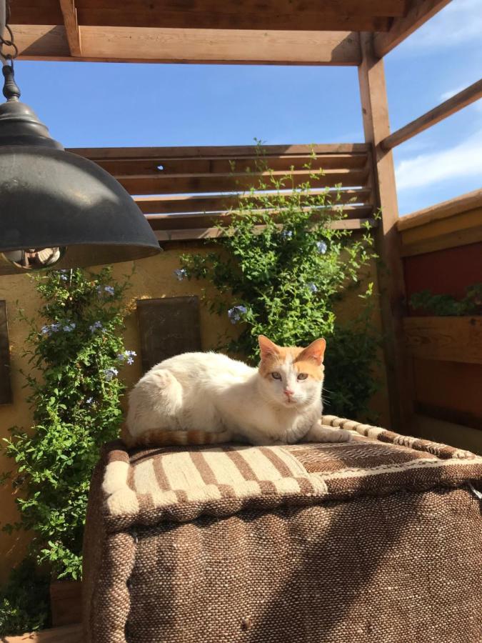 Riad Al Ibtikar Marrakesh Eksteriør billede